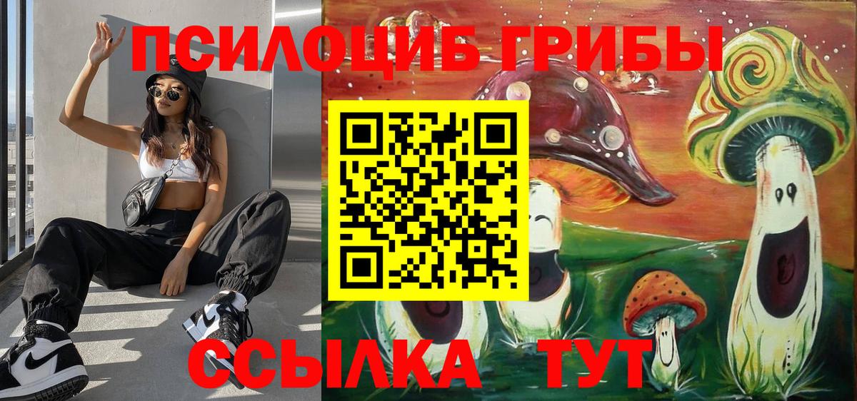 Галлюциногенные грибы мухоморы Сыктывкар