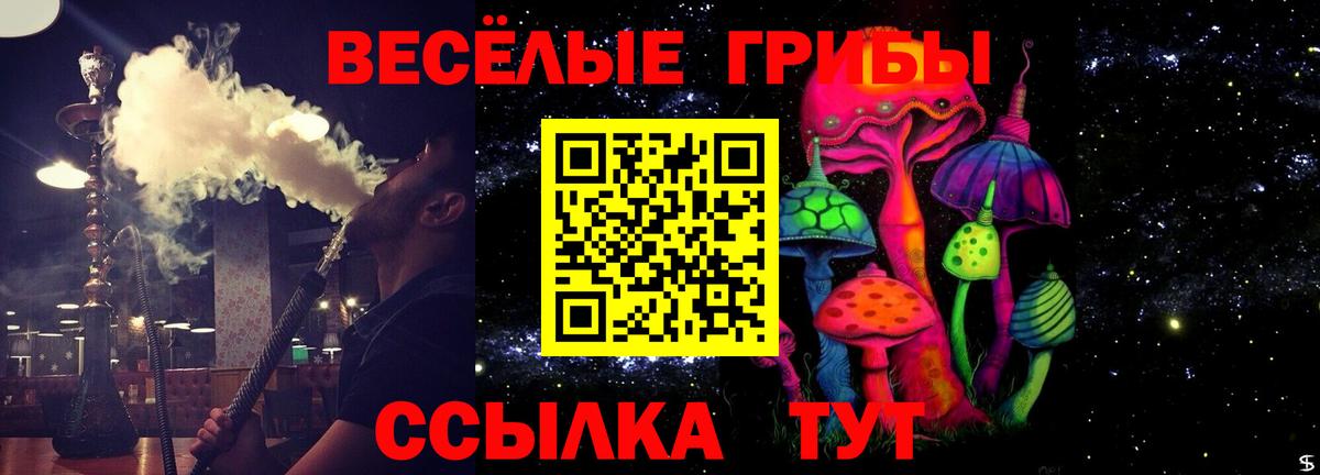 Сыктывкар  Псилоцибиновые грибы Cubensis  Вход с VPN  Псилоцибиновые грибы прущие грибы 